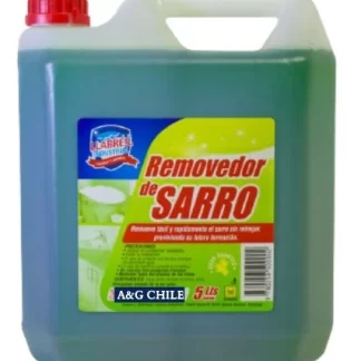 REMOVEDOR ANTISARRO 5L